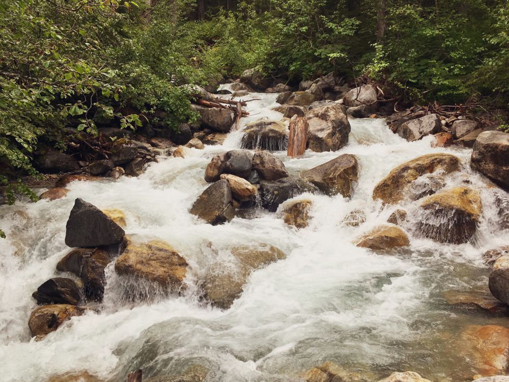 A fast moving stream at Klondike Gold Rush National Historic Park