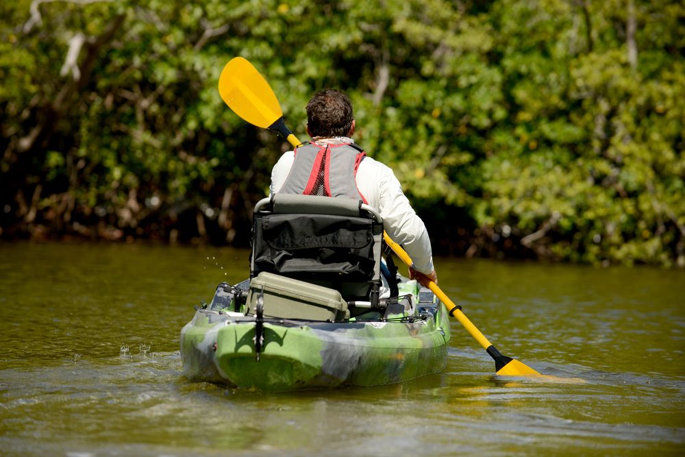 A man kayaking among the mangroves