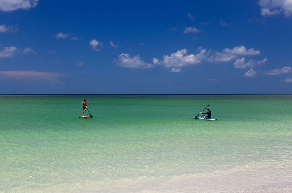People paddle-boarding at Siesta Key
