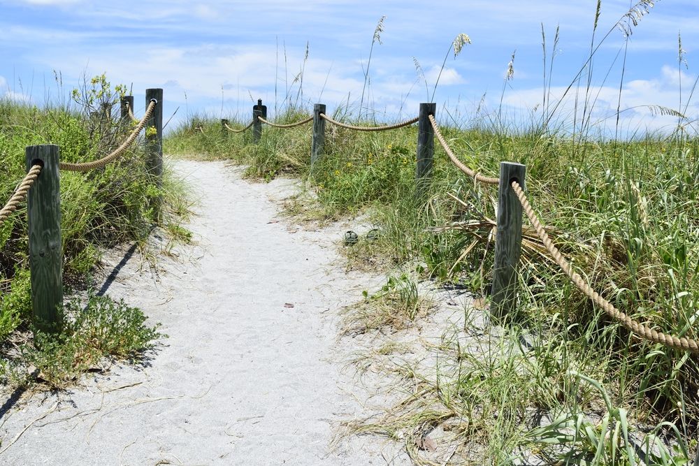 Sandy pathway of Turtle Beach