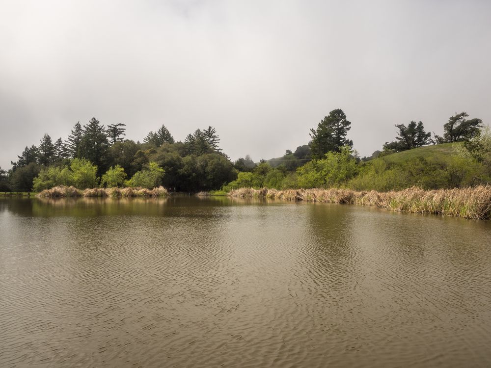 View of Skyline Ridge Preserve