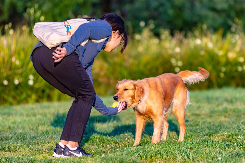 A person playing with a dog at Rincon Park