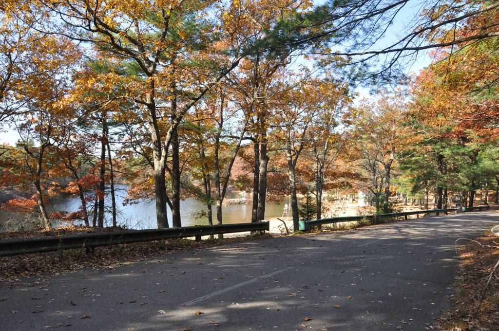 A trail at Breakheart Reservation