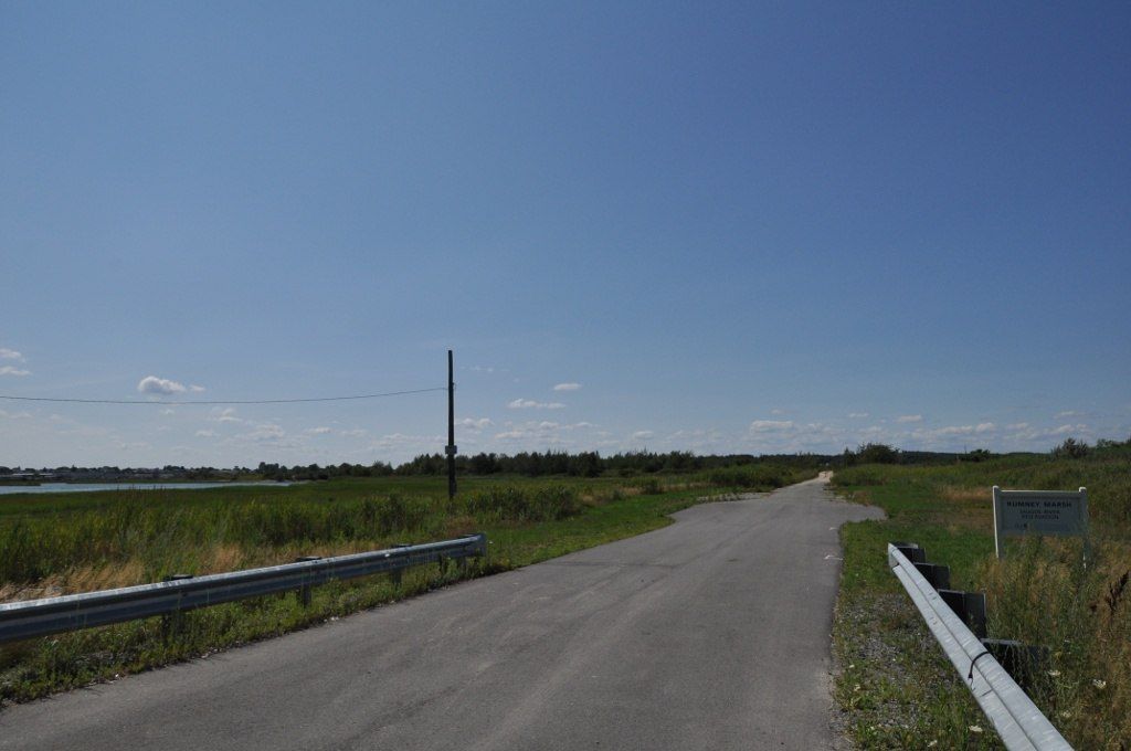 Trail of Rumney Marsh Reservation
