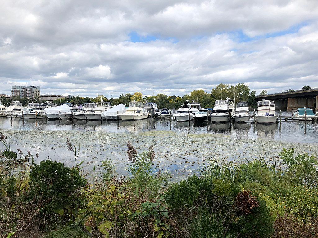 View of docked boats at Sylvester Baxter Riverfront Park