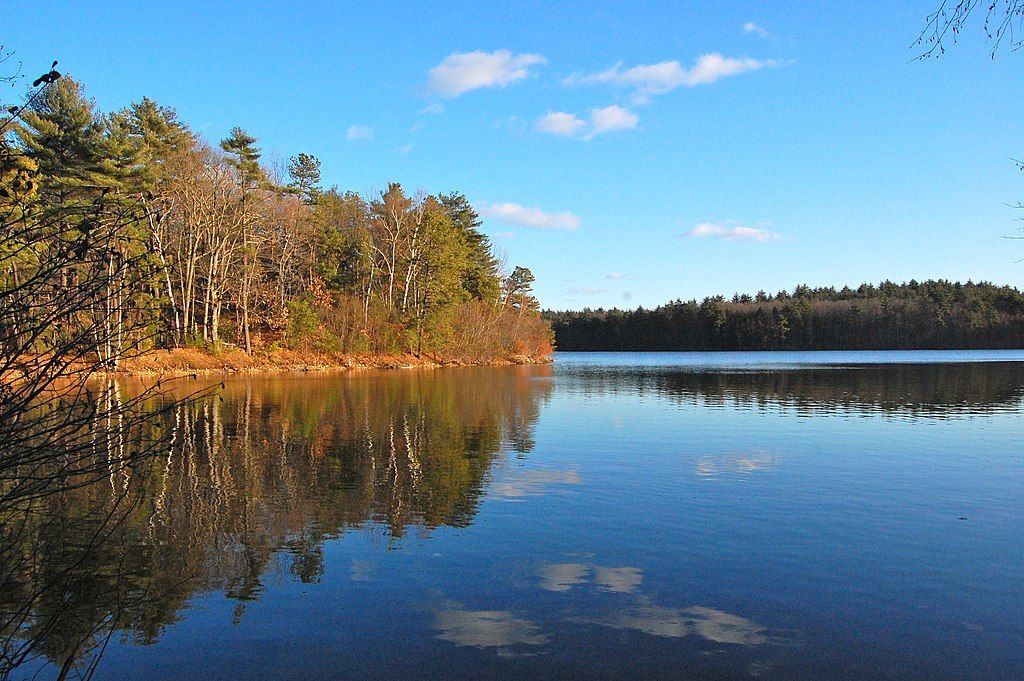 The waters of Walden Pond