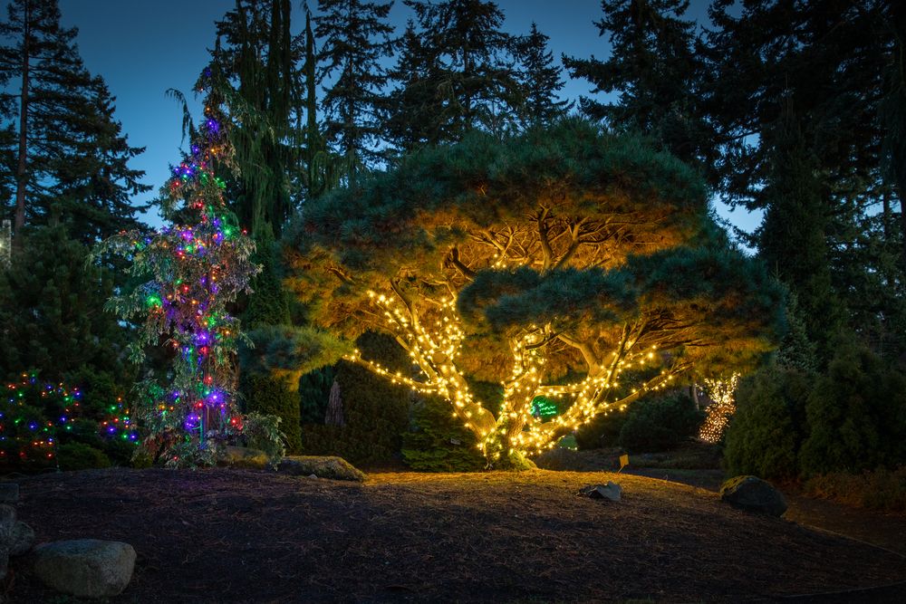 View of Evergreen Arboretum and Gardens