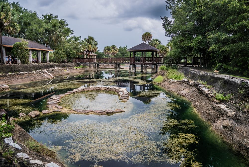 Devil's Den in Williston, Florida