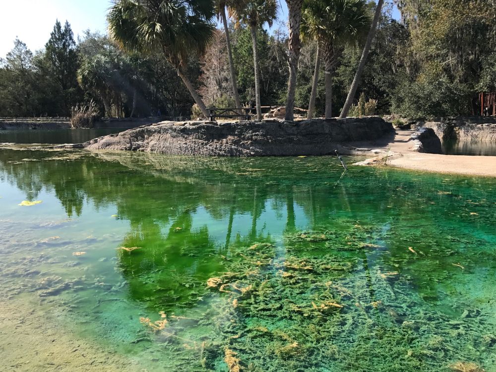 Devil's Den in Williston, Florida