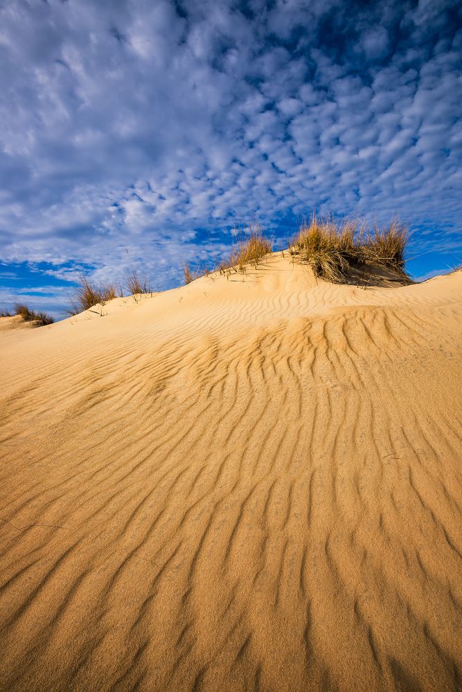 Sand in Jockey’s Ridge State Park