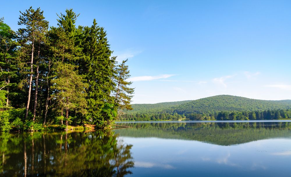 The calm waters of Allegany State Park