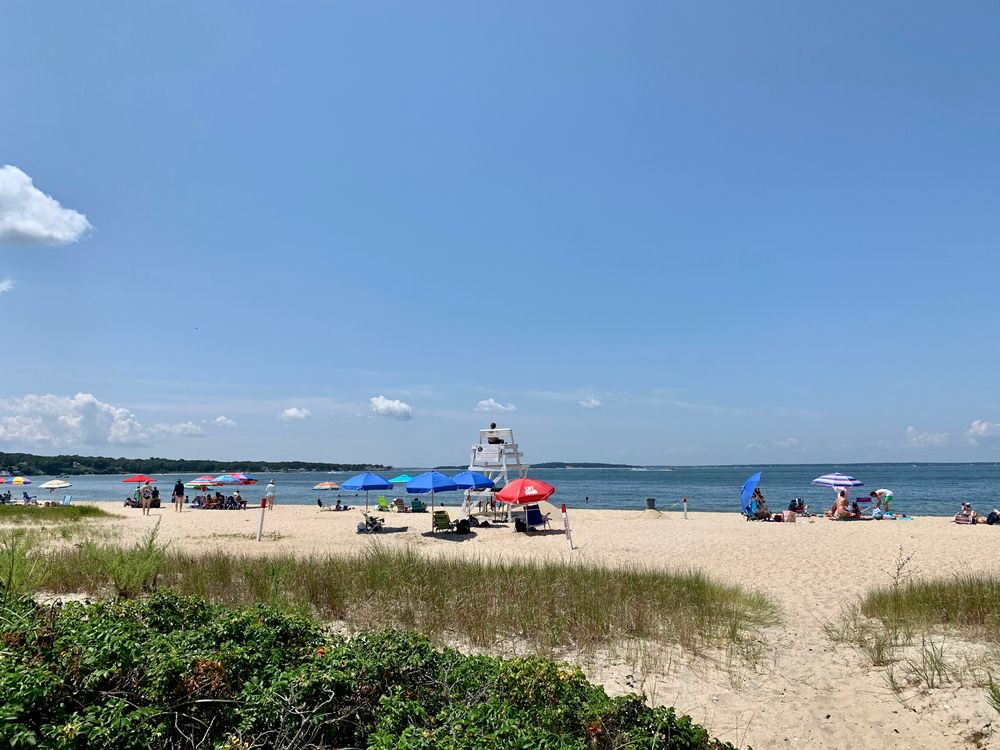 Beach umbrellas at Foster Memorial Beach
