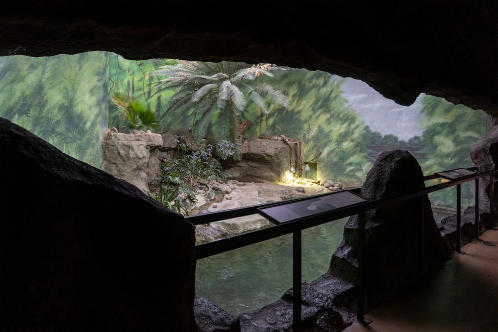 Aquarium in Rosamond Gifford Zoo