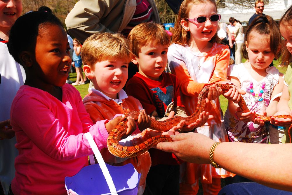 Children petting a snake at Sweetbriar Nature Center