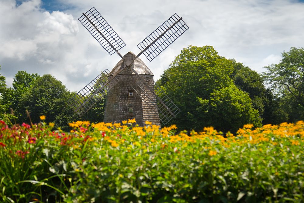 Bed of flowers in front of Southampton Windmill