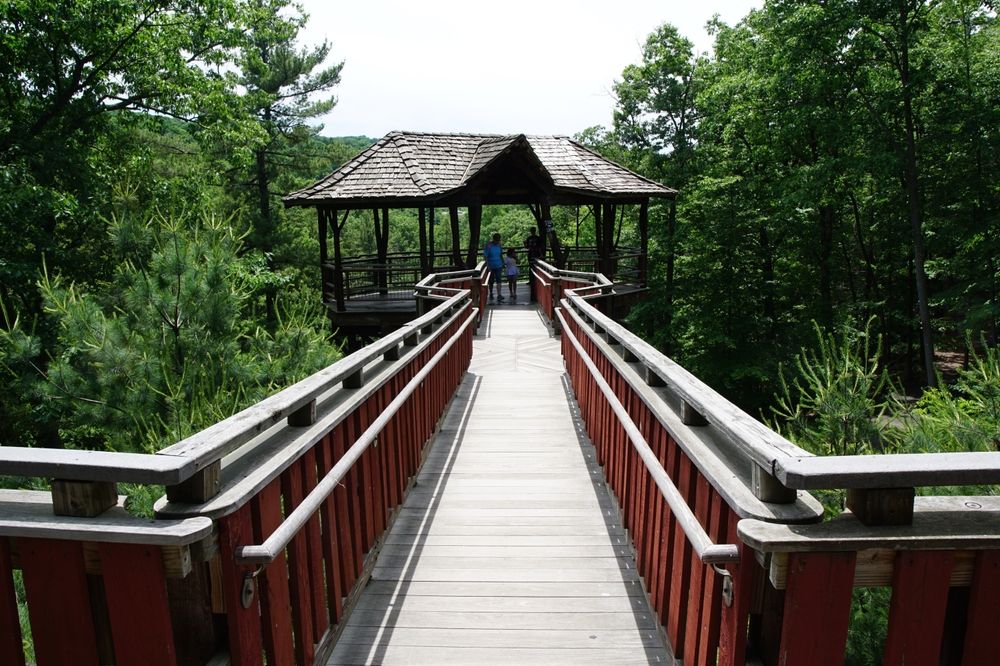 David Wenzel treehouse at Nay Aug Park
