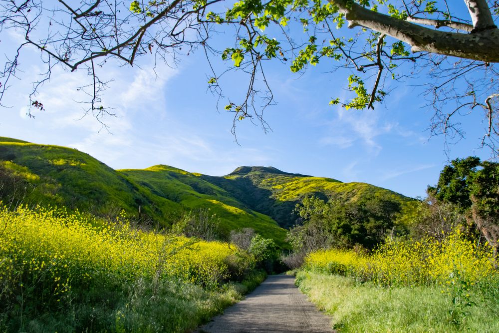 View of Solstice Canyon