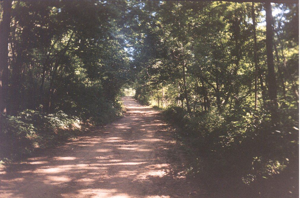 Trees framing the Trail of Tears