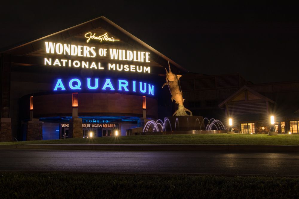 Exterior and night lights of Wildlife National Museum & Aquarium