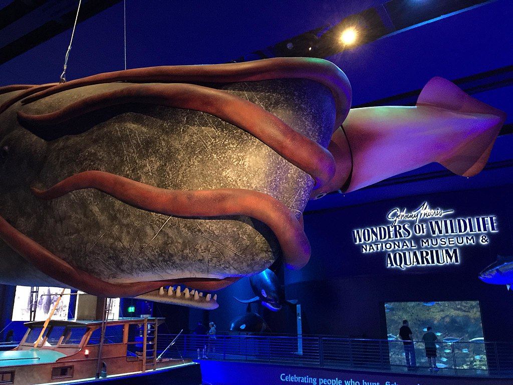 Interior of Wildlife National Museum & Aquarium