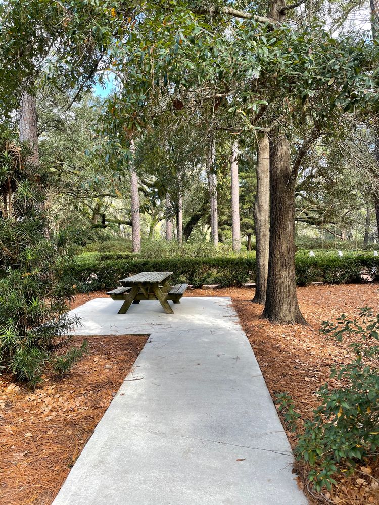 Picnic table along a trail at Eden Gardens State Park