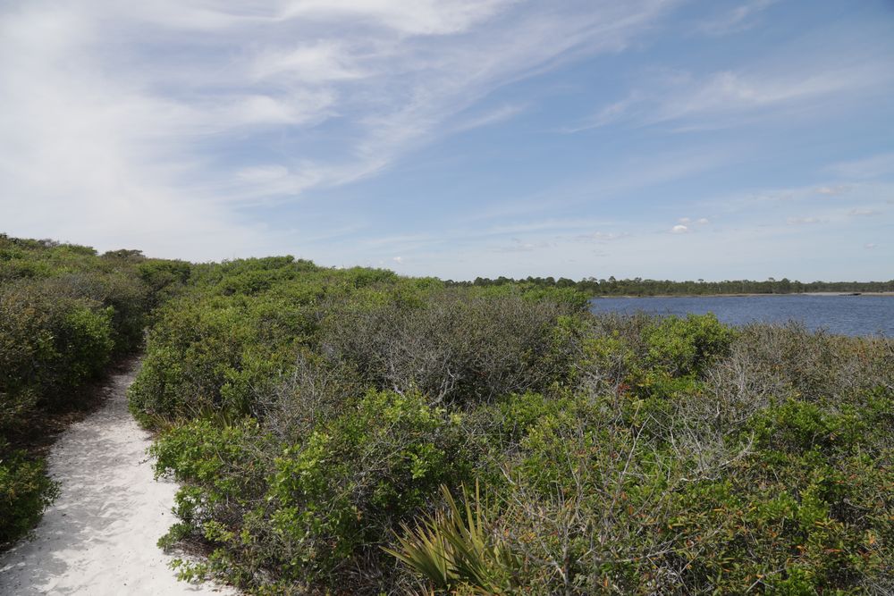 Nature trail at Grayton Beach State Park