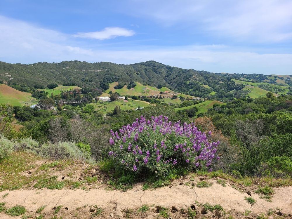 Scenic view of Las Trampas Regional Wilderness Park