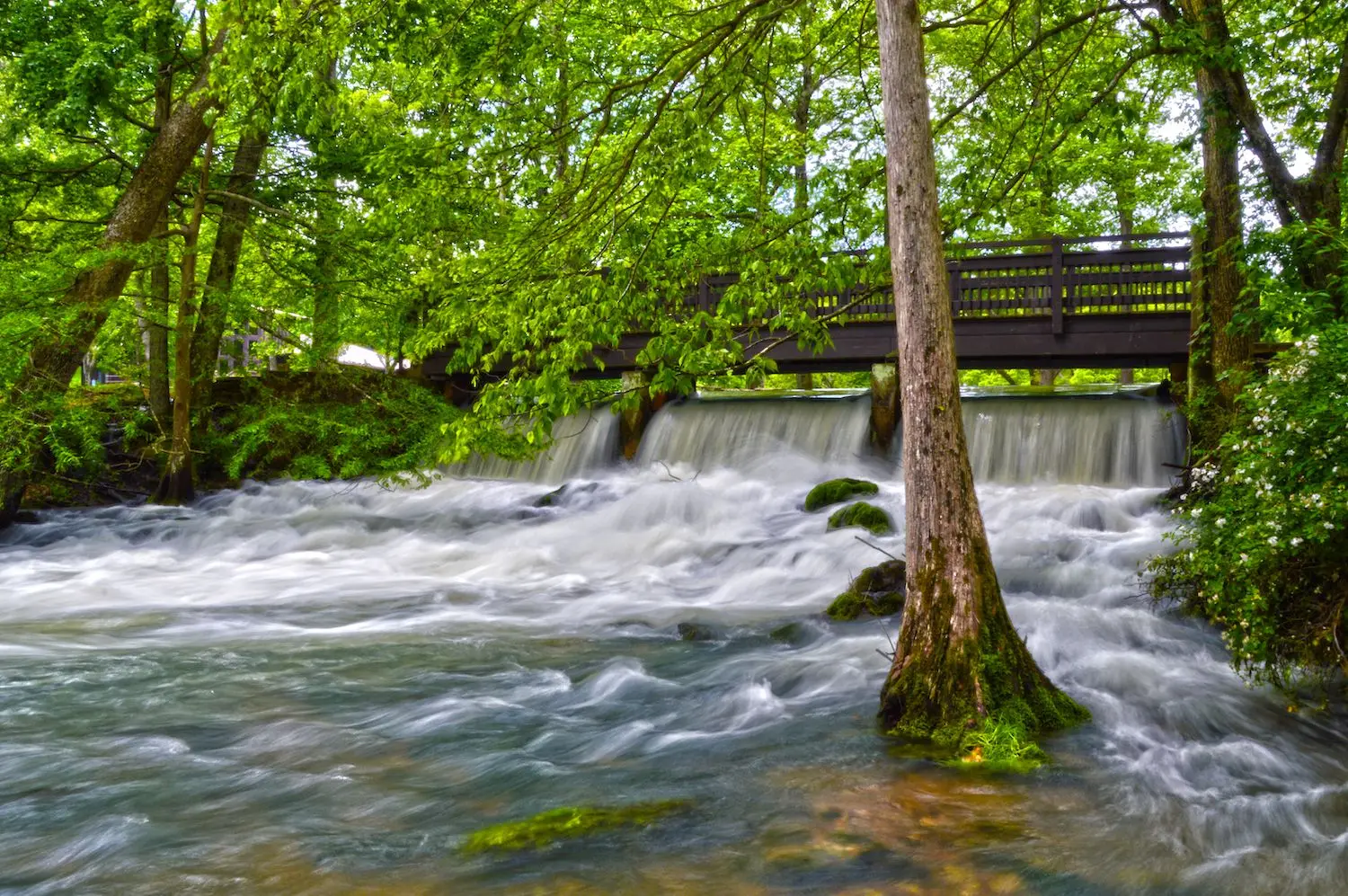 20 Best Things to Do in St. James, MO