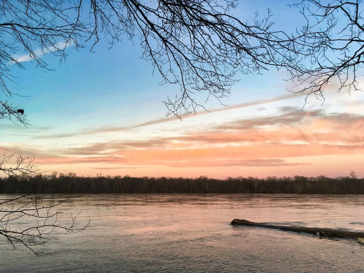 15 Best Things to Do in Sterling, VA
