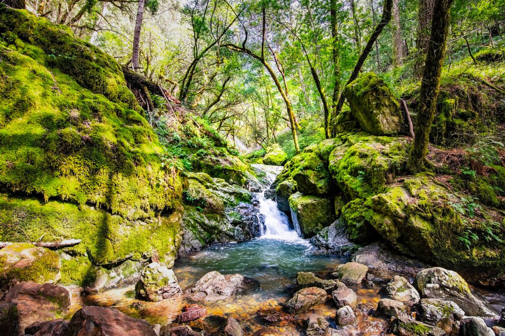 Scenic view of Cataract Falls