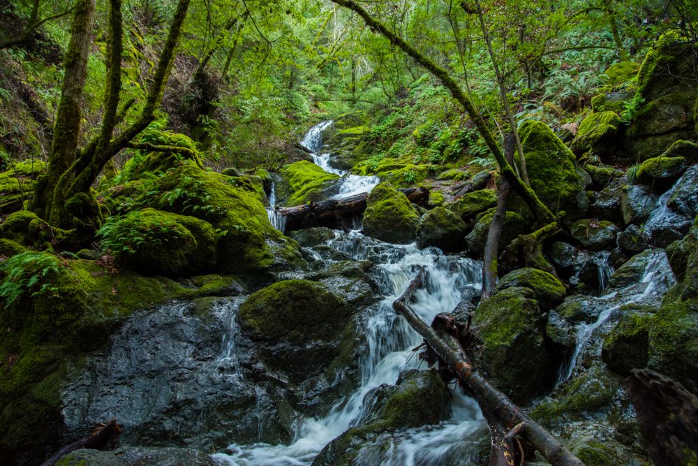 Downstream of Cataract Falls
