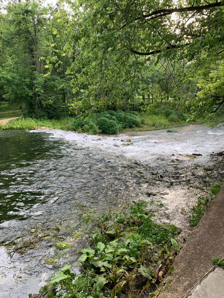 Trees surrounding a body of water at Maramec Spring Park