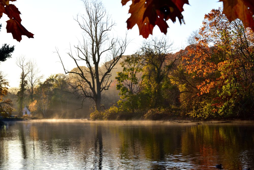 Morning sun shining down Avalon Nature Preserve