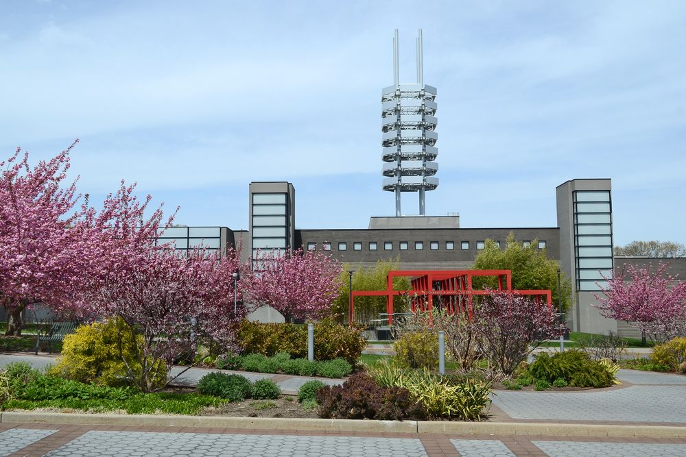 Colorful plants in front of Charles B. Wang Center