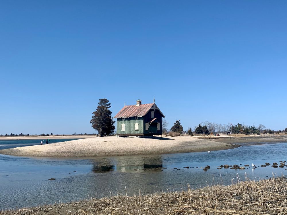 Body of water surrounding the gamecock cottage