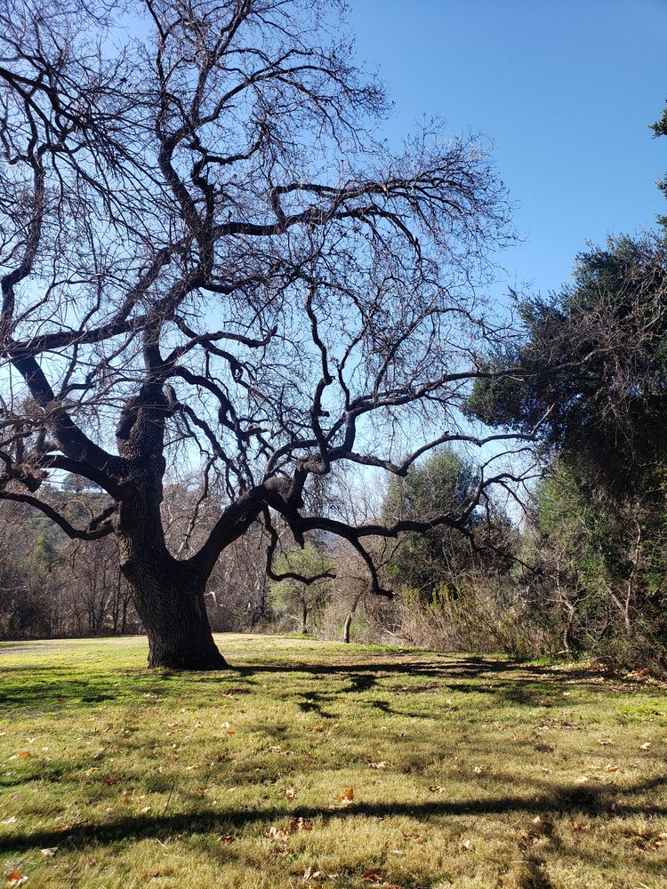 View of King Gillette Ranch