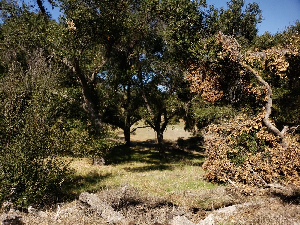 View of King Gillette Ranch