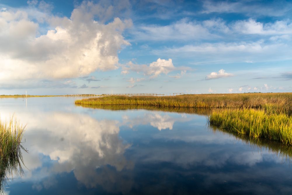 Scenic view of Pea Island National Wildlife Refuge
