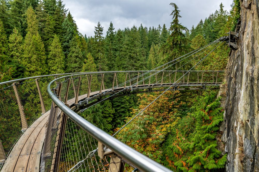 Stunning Views at Capilano Suspension Bridge Park