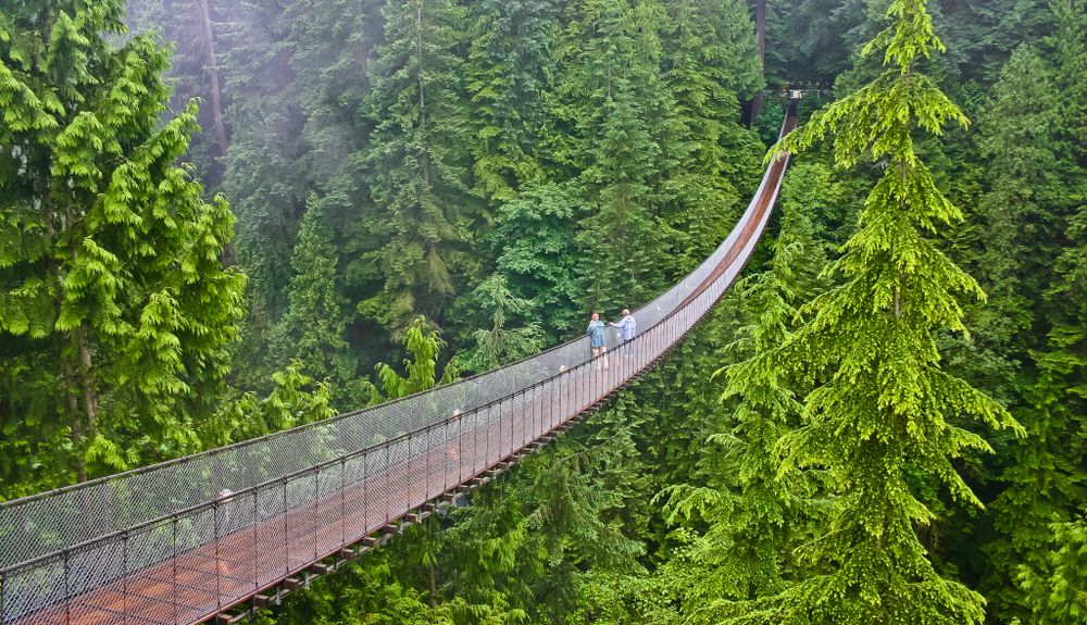 Stunning Views at Capilano Suspension Bridge Park