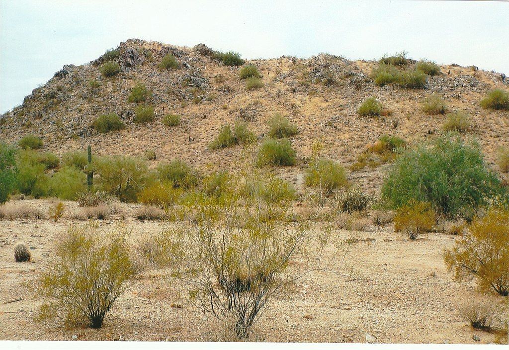 Daytime view of San Tan Mountain Regional Park
