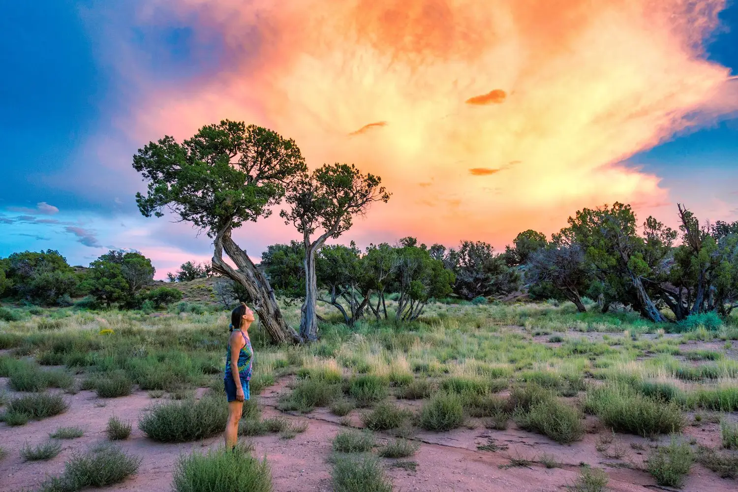15 Best Things to Do with Kids in Surprise, AZ