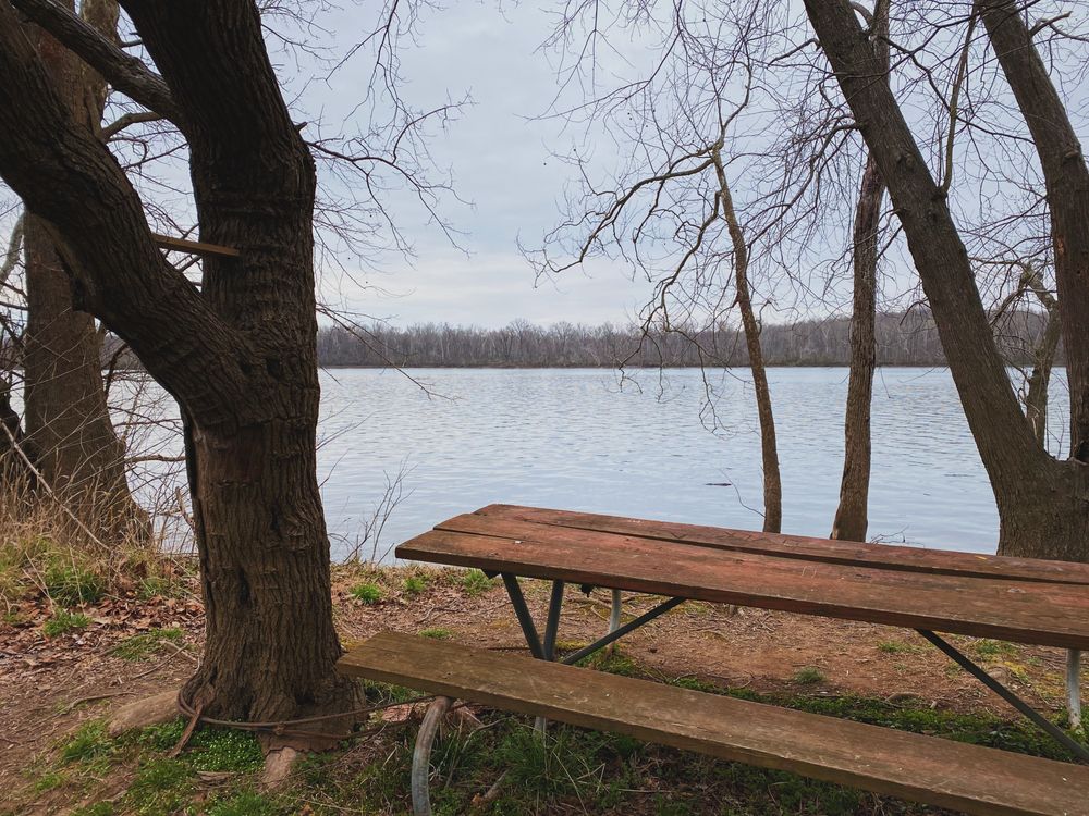 Picnic table overlooking the waters of Algonkian Regional Park