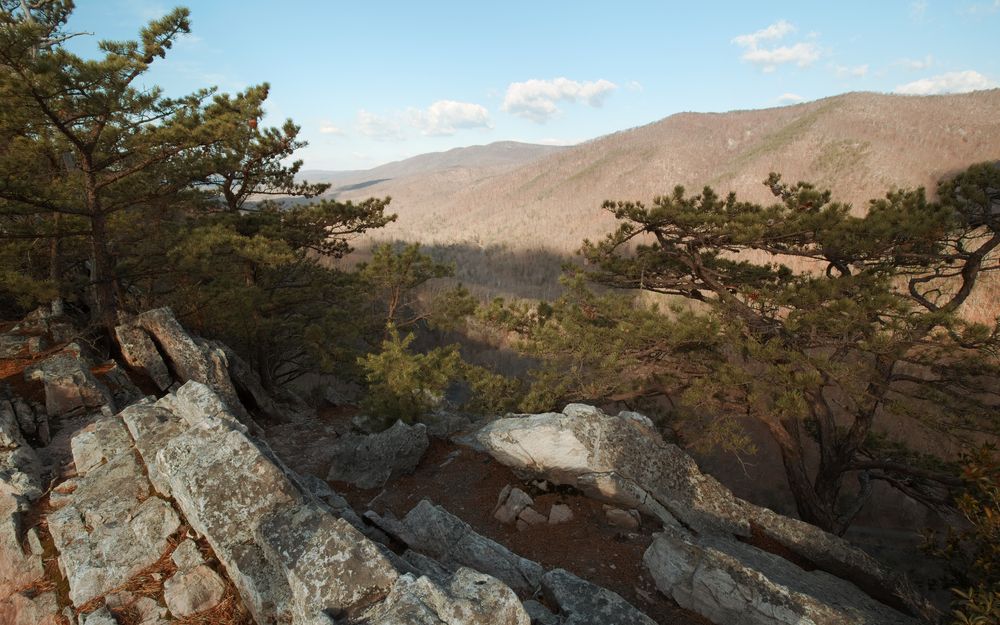 Scenic view from the Buzzard Rock Trail