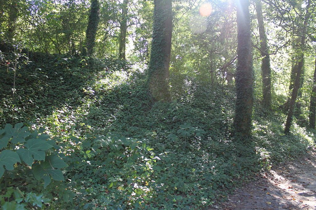 Nature trail at Fort Boykin