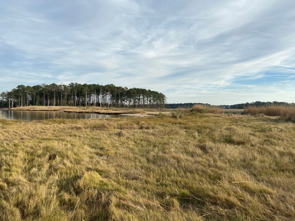 Daytime view of Ragged Island Wildlife Management Area