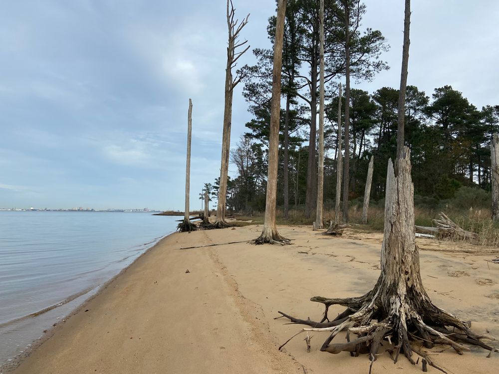 The waters of Ragged Island Wildlife Management Area