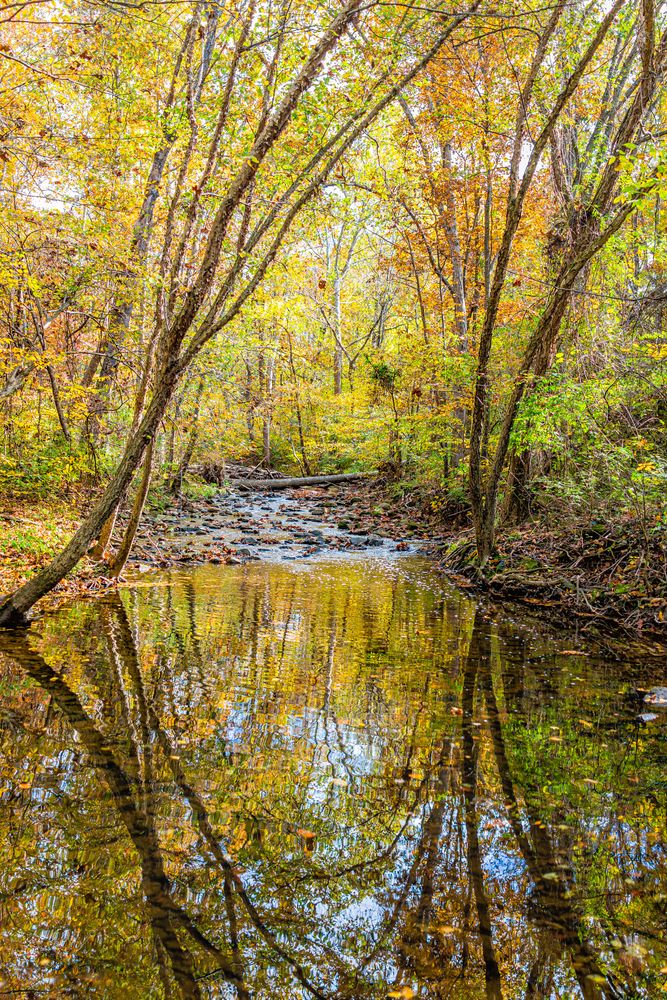 Daytime view of Sugarland Run Stream Valley Park