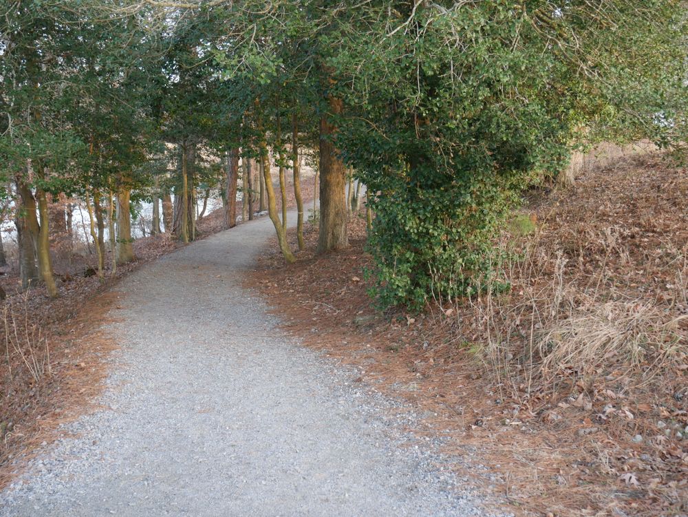 Pathway at Windsor Castle Park