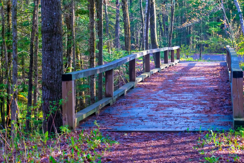 Boardwalk at Pattison State Park